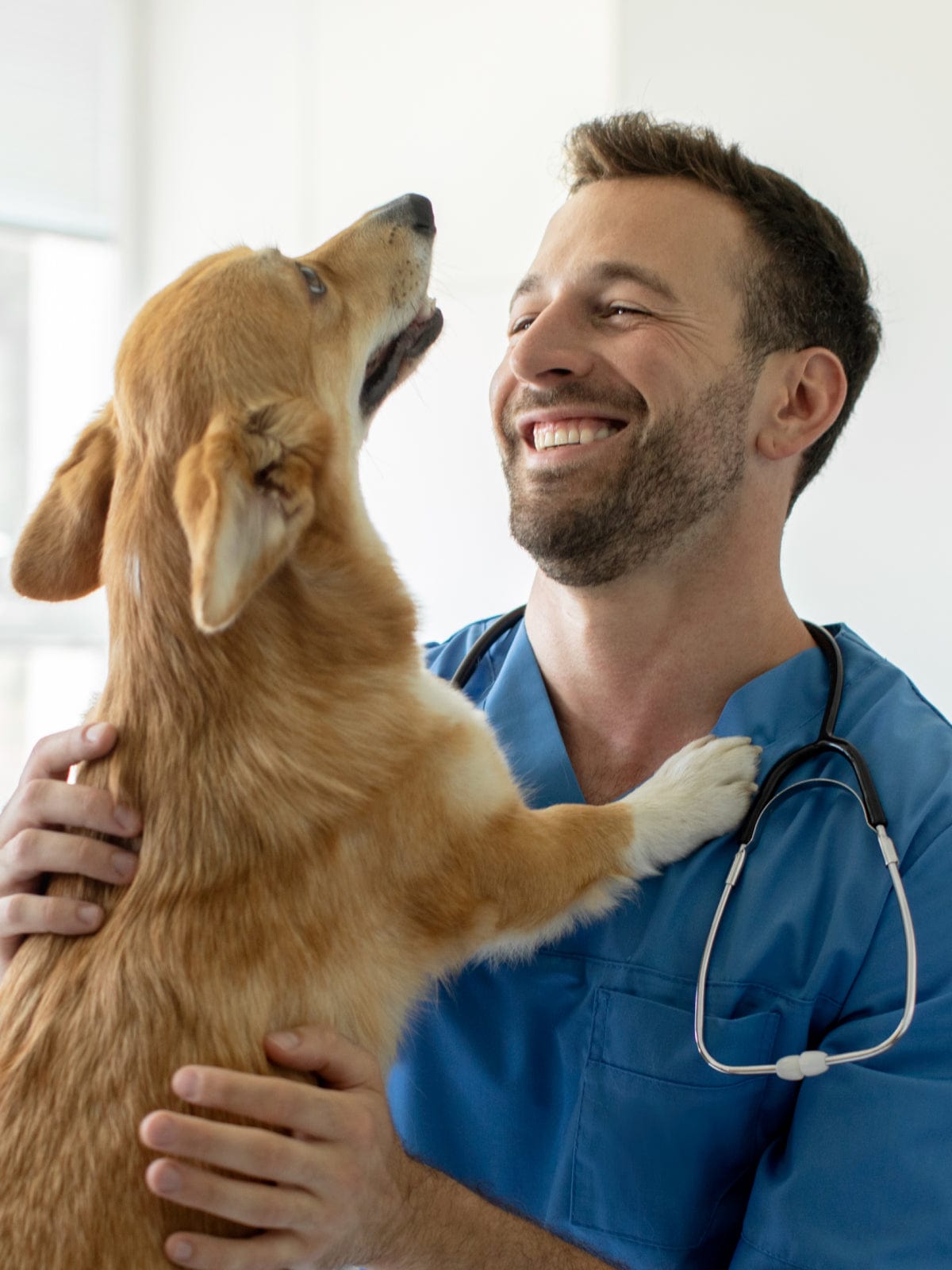 A happy male vet smiling and holding up a dog