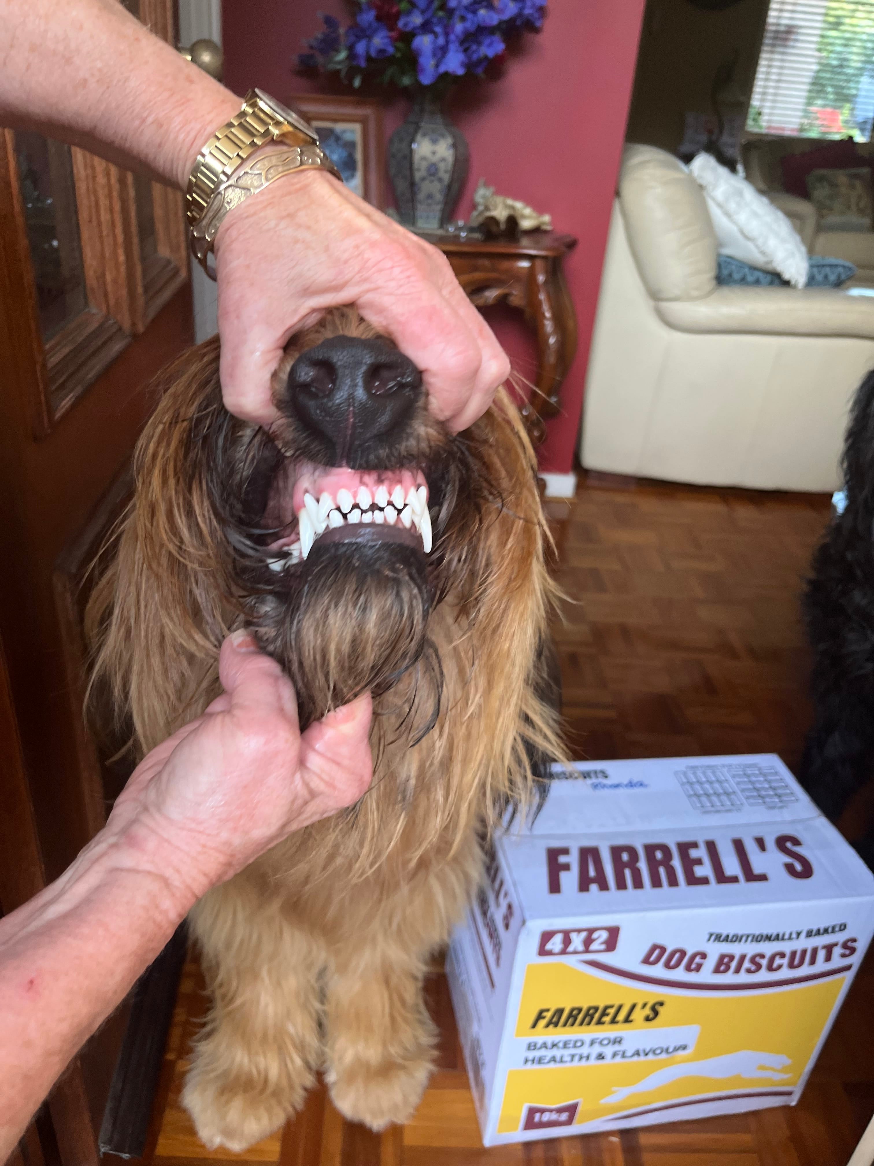 Farrell's Original 4x2 Dog Biscuits 10kg