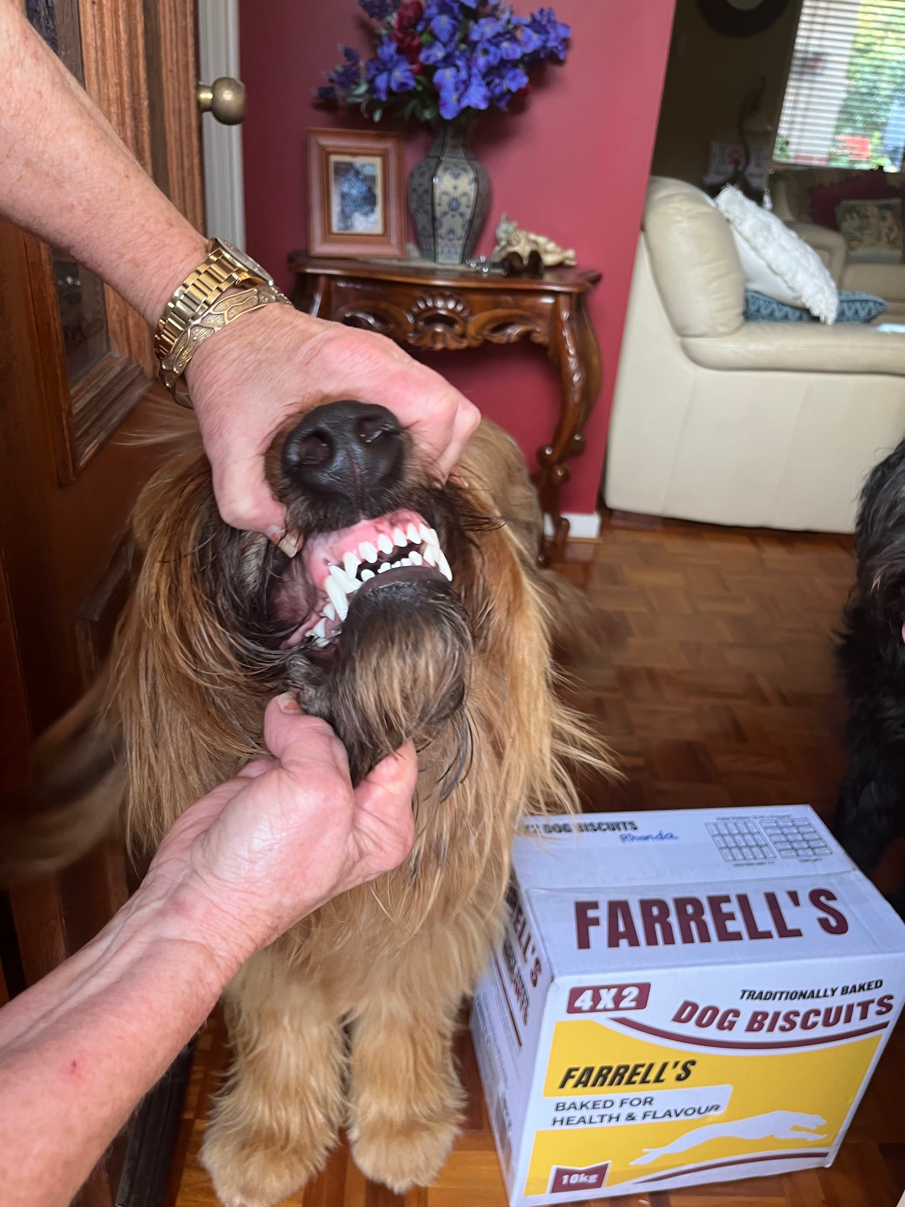 Farrell's Original 4x2 Dog Biscuits 10kg